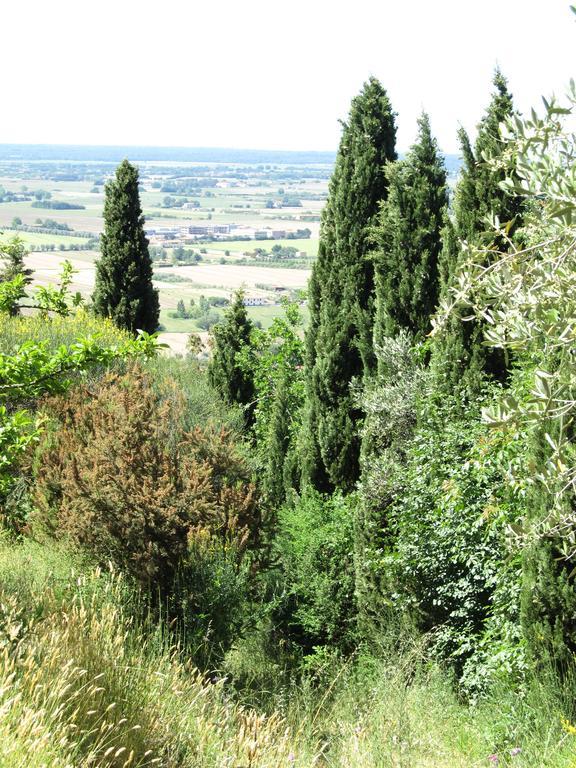 Agriturismo La Grotta San Giuliano Terme Bagian luar foto
